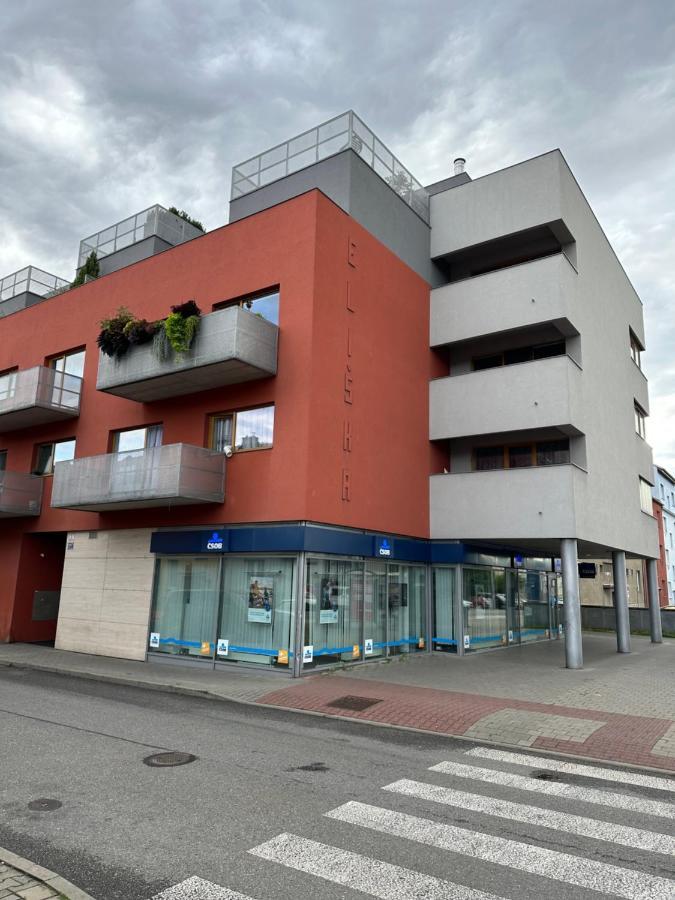 Apartments Spacilova Nearly Center Komarov 外观 照片